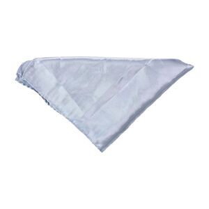 Tags Weekly Mens Silk Pocket Square, NWT